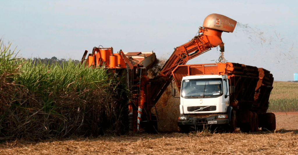 Abertura da safra 21/22